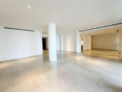 The Colonnade (D10), Condominium #563474741